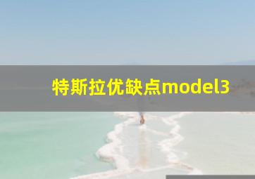 特斯拉优缺点model3