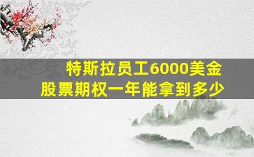 特斯拉员工6000美金股票期权一年能拿到多少