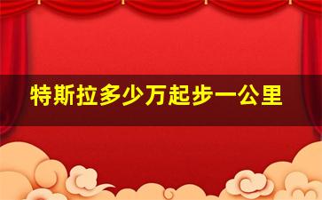 特斯拉多少万起步一公里