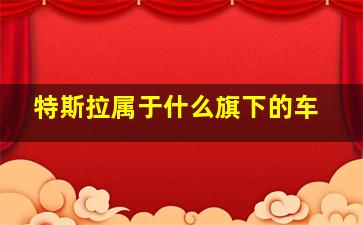 特斯拉属于什么旗下的车