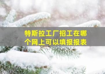 特斯拉工厂招工在哪个网上可以填报报表