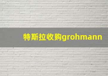 特斯拉收购grohmann