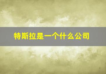 特斯拉是一个什么公司