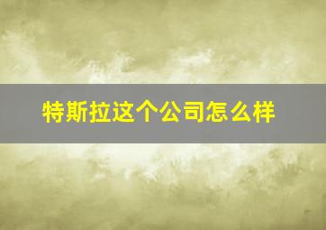 特斯拉这个公司怎么样