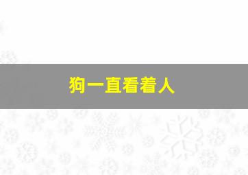 狗一直看着人