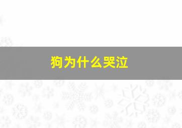 狗为什么哭泣