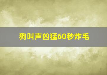 狗叫声凶猛60秒炸毛