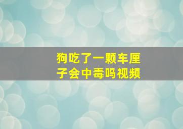 狗吃了一颗车厘子会中毒吗视频