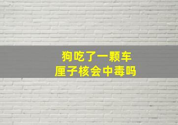 狗吃了一颗车厘子核会中毒吗