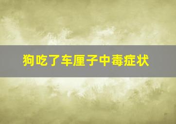 狗吃了车厘子中毒症状