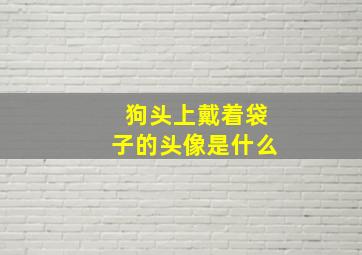 狗头上戴着袋子的头像是什么