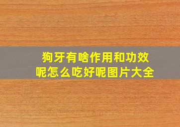 狗牙有啥作用和功效呢怎么吃好呢图片大全