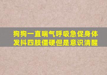 狗狗一直喘气呼吸急促身体发抖四肢僵硬但是意识清醒