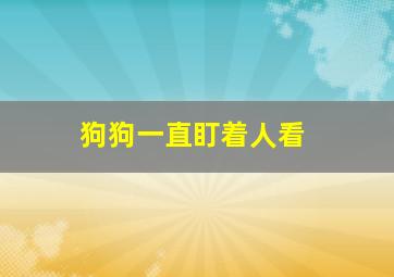 狗狗一直盯着人看