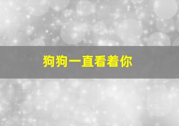 狗狗一直看着你