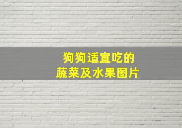 狗狗适宜吃的蔬菜及水果图片