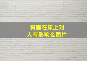 狗睡在床上对人有影响么图片