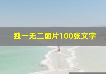 独一无二图片100张文字