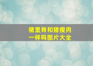 猪里脊和猪瘦肉一样吗图片大全