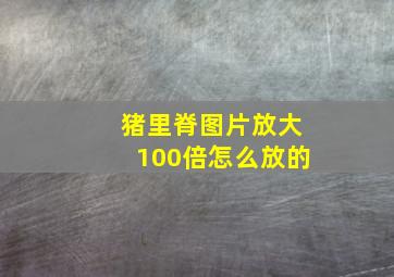 猪里脊图片放大100倍怎么放的