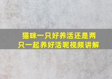 猫咪一只好养活还是两只一起养好活呢视频讲解