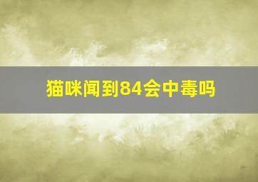 猫咪闻到84会中毒吗