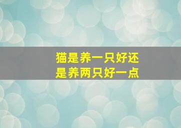 猫是养一只好还是养两只好一点