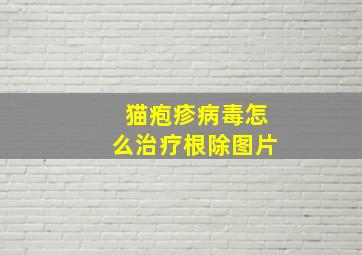 猫疱疹病毒怎么治疗根除图片