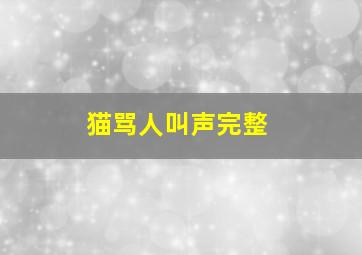 猫骂人叫声完整