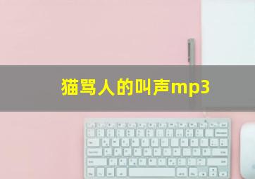 猫骂人的叫声mp3