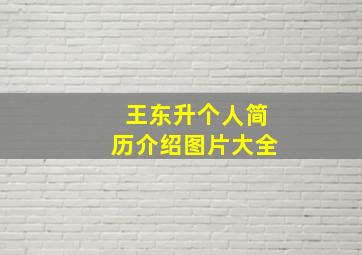 王东升个人简历介绍图片大全