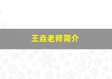 王垚老师简介