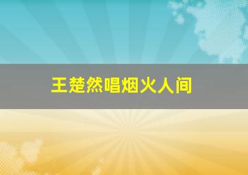 王楚然唱烟火人间