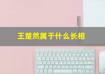 王楚然属于什么长相