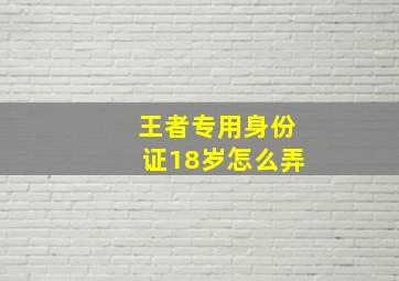 王者专用身份证18岁怎么弄