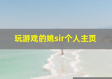 玩游戏的姚sir个人主页