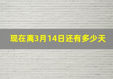 现在离3月14日还有多少天