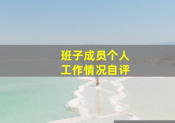 班子成员个人工作情况自评