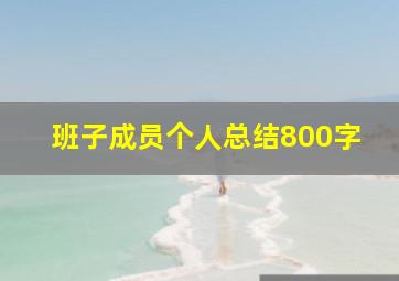 班子成员个人总结800字