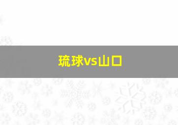 琉球vs山口