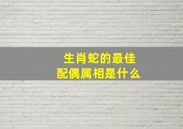 生肖蛇的最佳配偶属相是什么