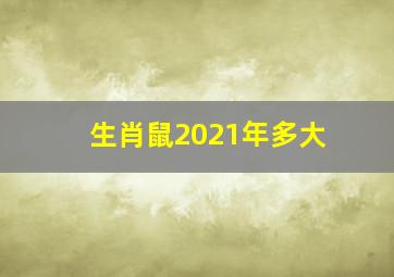 生肖鼠2021年多大