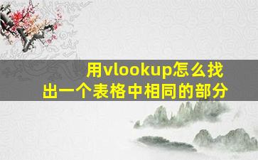 用vlookup怎么找出一个表格中相同的部分