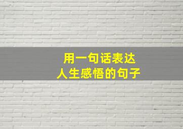 用一句话表达人生感悟的句子