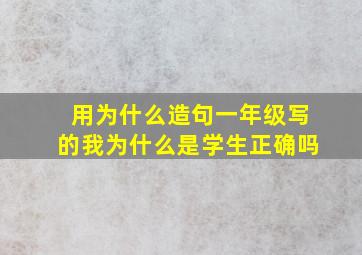 用为什么造句一年级写的我为什么是学生正确吗