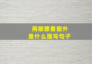 用眼瞟着窗外是什么描写句子