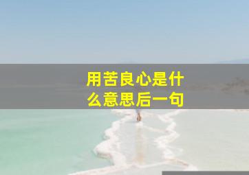 用苦良心是什么意思后一句