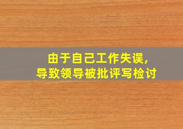 由于自己工作失误,导致领导被批评写检讨