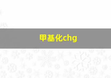 甲基化chg