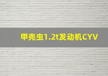 甲壳虫1.2t发动机CYV